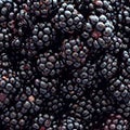 Blackberry