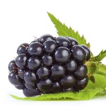 Boysenberry