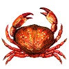 Crab