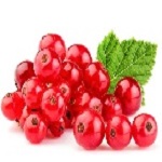 Redcurrant