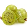 Gooseberry