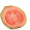 Guava