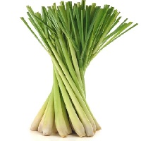 Lemon Grass