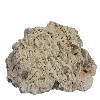 Limestone