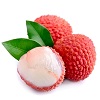 Lychee