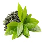 Tea Leaves