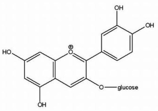 Anthocyanins