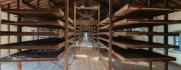 Amarone Drying