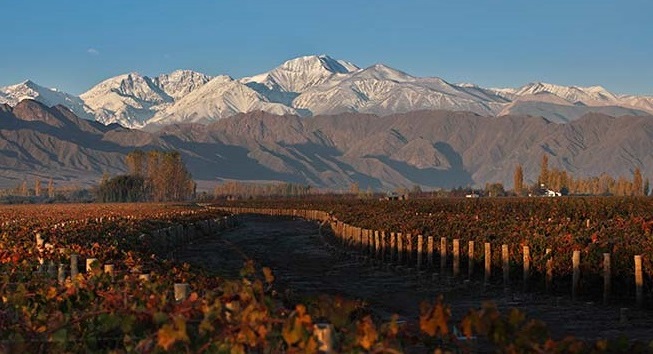 Mendoza