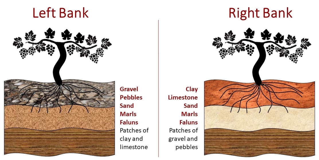 Bordeaux Soil