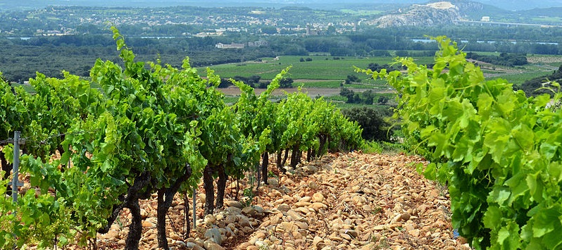 Châteauneuf-du-Pape