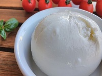 Burrata