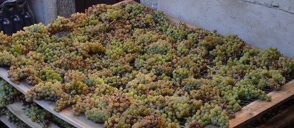 Dry White Grapes