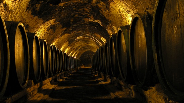 Tokay Cellar