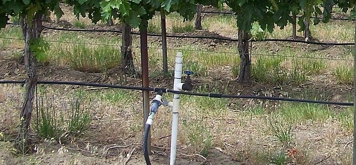 Drip irrigation system