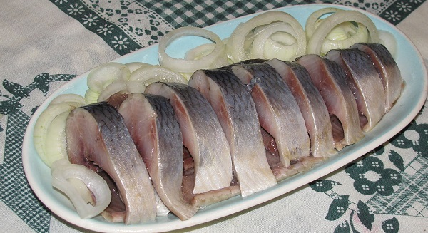 Herring