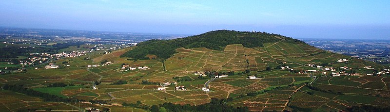 Mont Brouilly