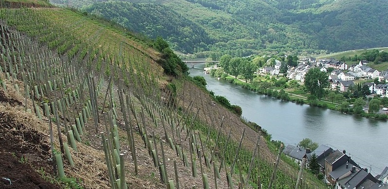 Zell Mosel