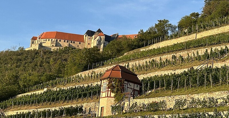 Schloss Neuenburg - Freyburg