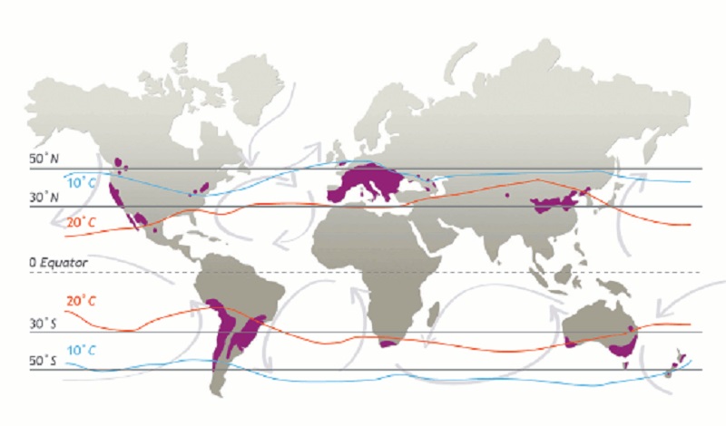 Latitudes