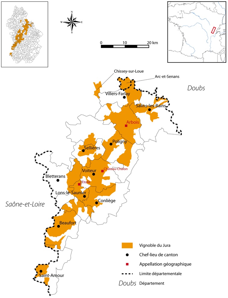 Vignobles jura