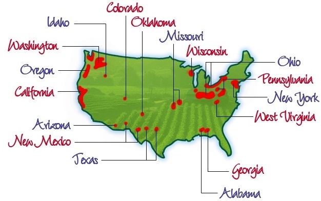 USA Map