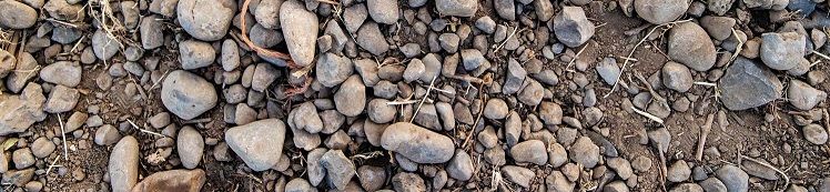 Basalt Cobble