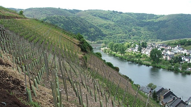 Zell Mosel