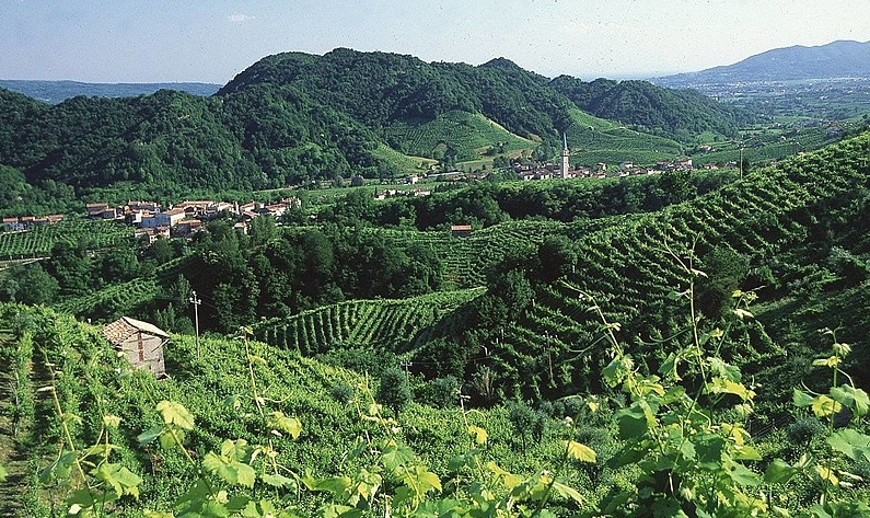 Prosecco Valley