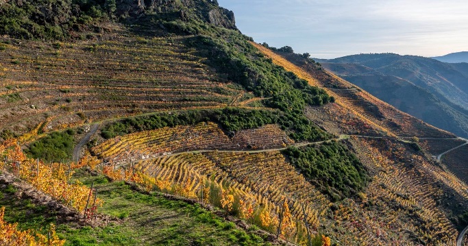 Ribeira Sacra