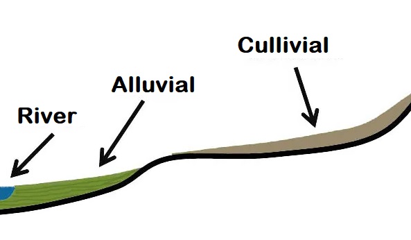 Colluvial Soil