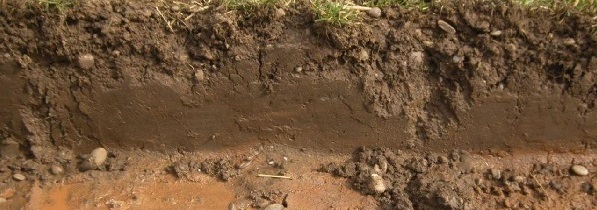 Clay Soil