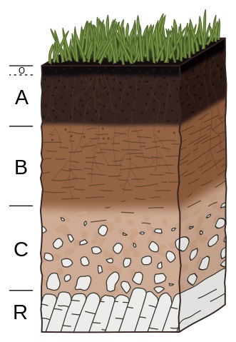 Soil Horizon