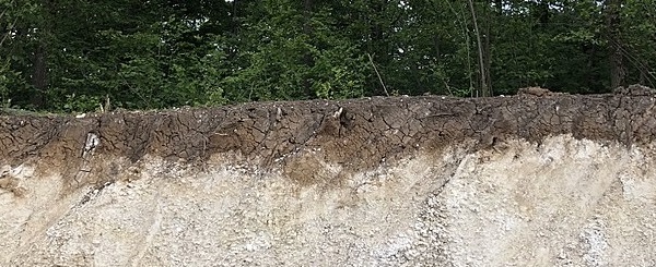 Soil on Limestone 