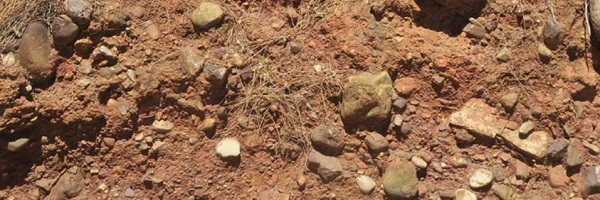 Maremma Soil