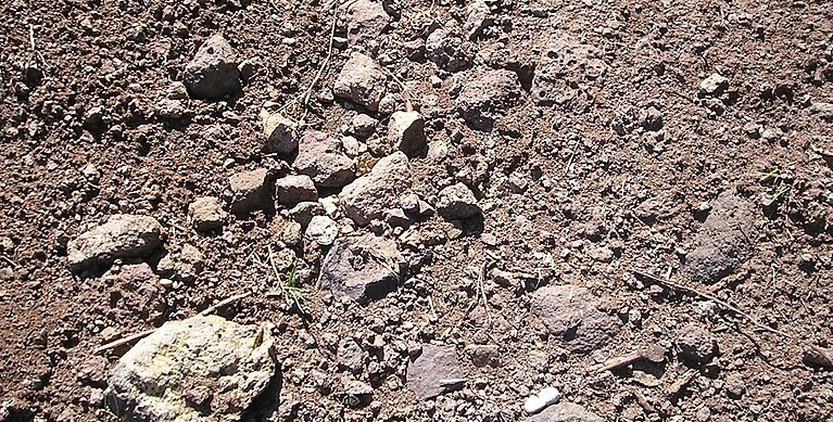 Soave Volcanic Soil