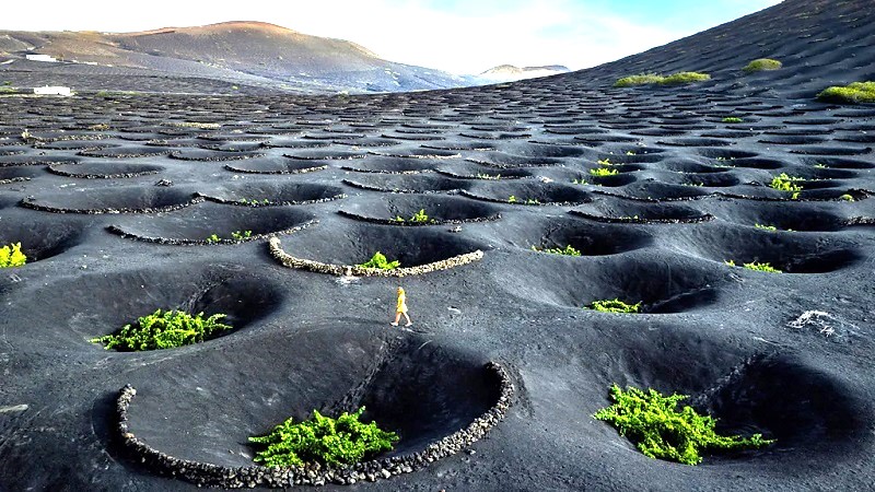 Lanzarote Volcanic Soil