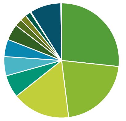 Statistics White Grapes