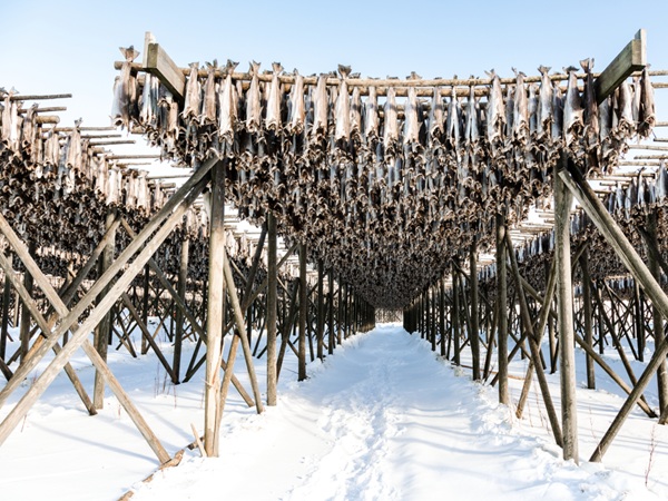 Stockfish