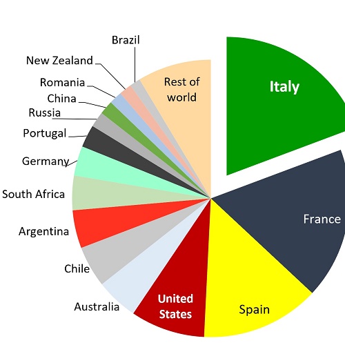 Wine Production